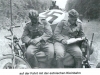 dd_ddn10